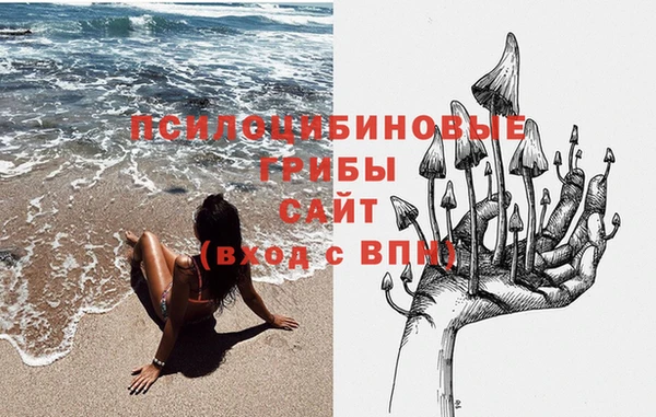mdma Белокуриха