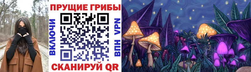 Галлюциногенные грибы Psilocybine cubensis Любим